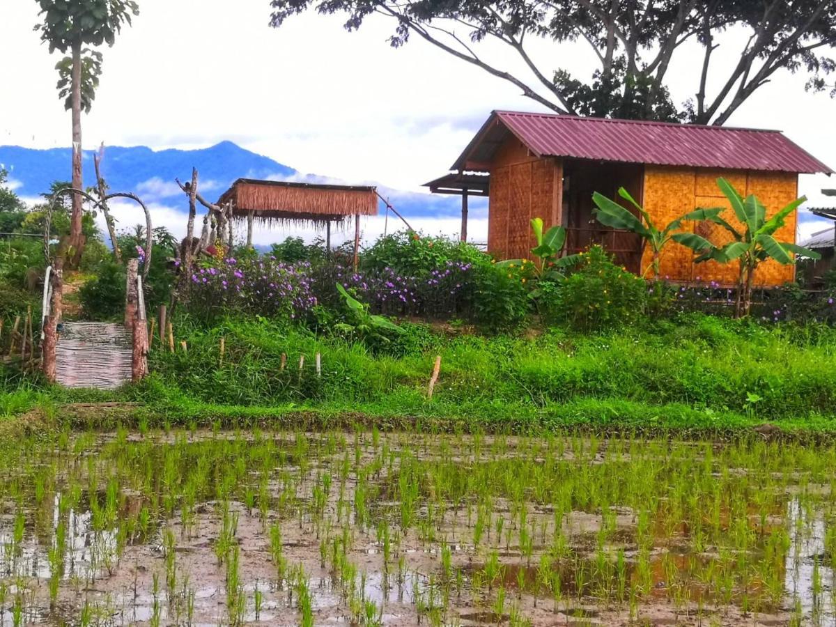 Kaewma Farmstay Khuang Kom Exterior photo