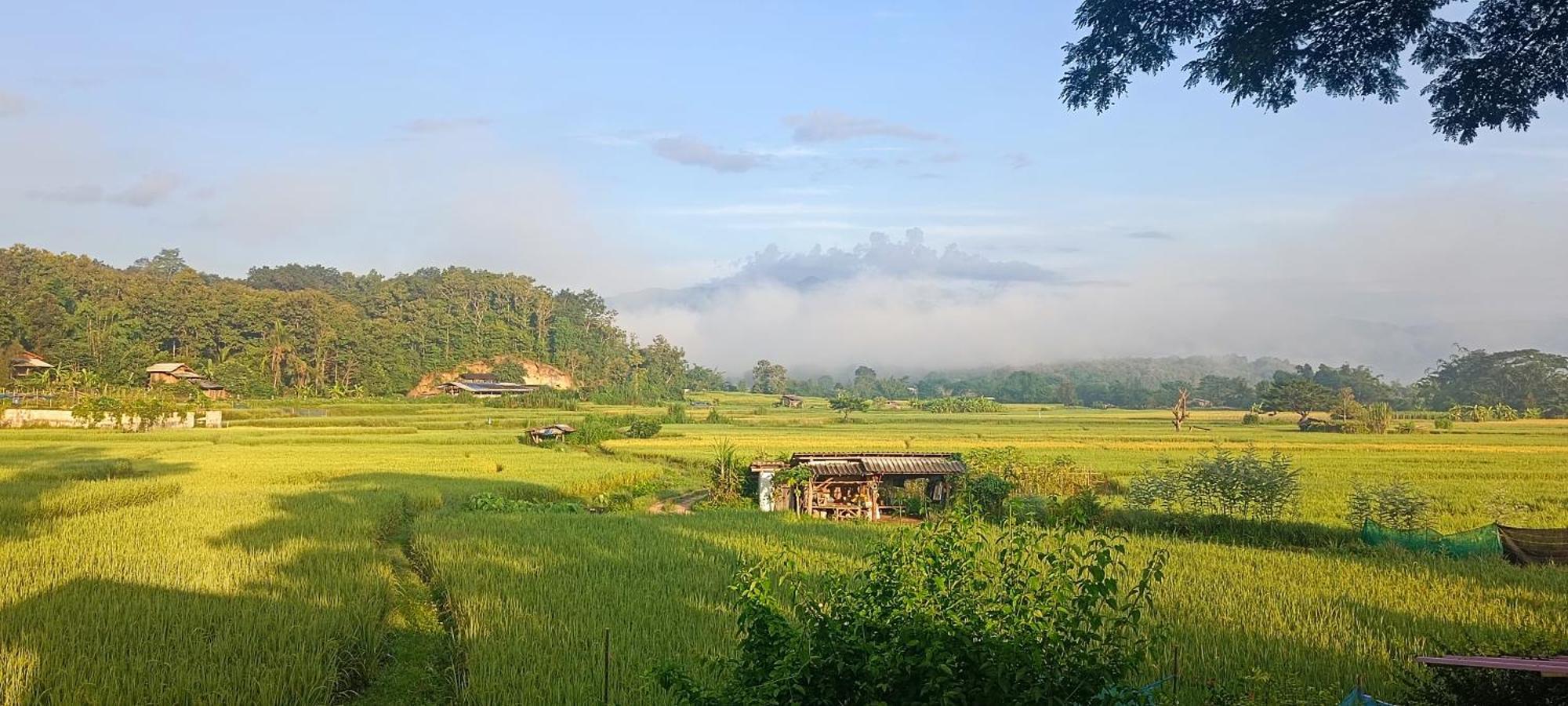 Kaewma Farmstay Khuang Kom Room photo